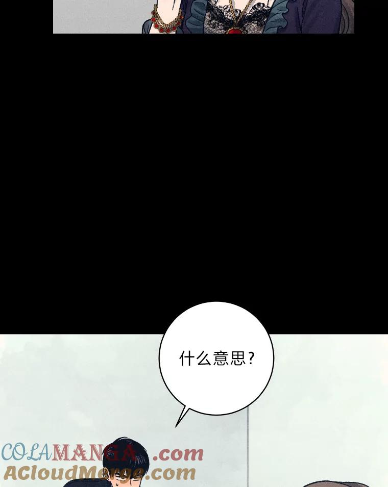 《幻像缉凶》26.共犯 第73页