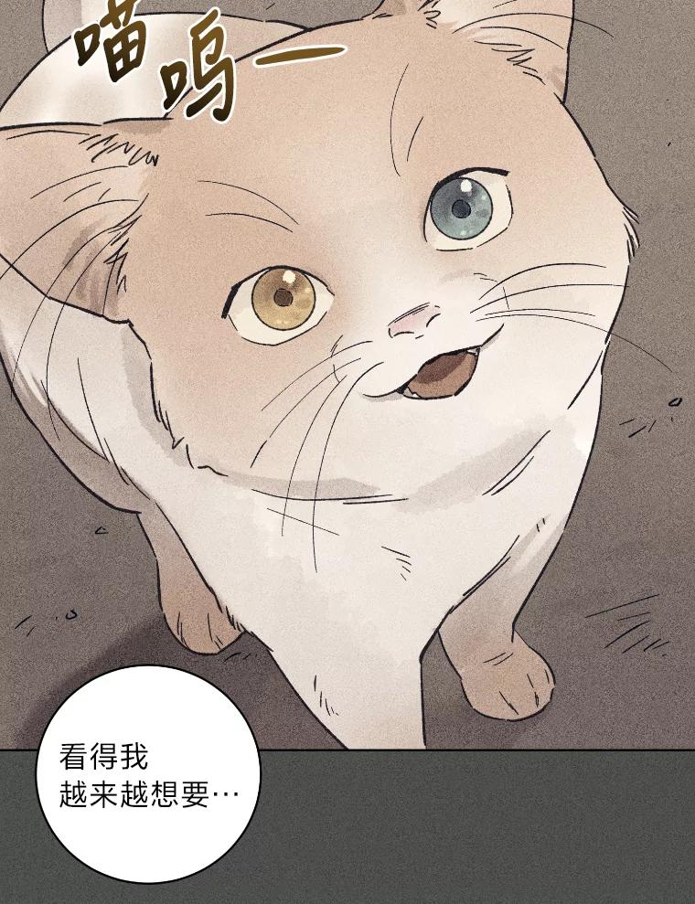 《幻像缉凶》26.共犯 第26页