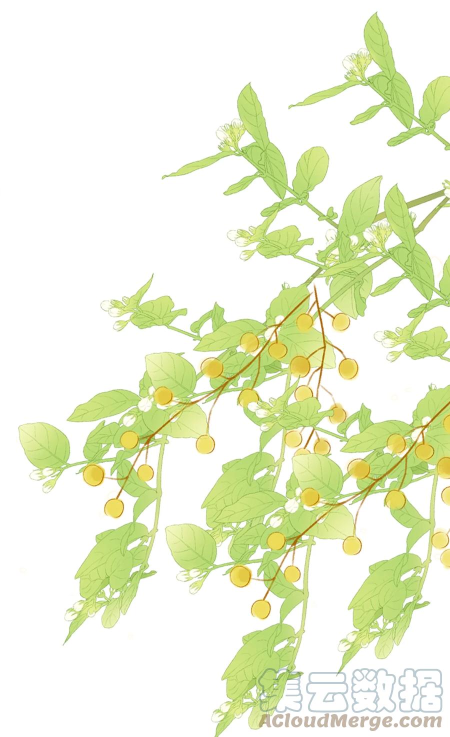 皇上别闹 106 证据 第7页
