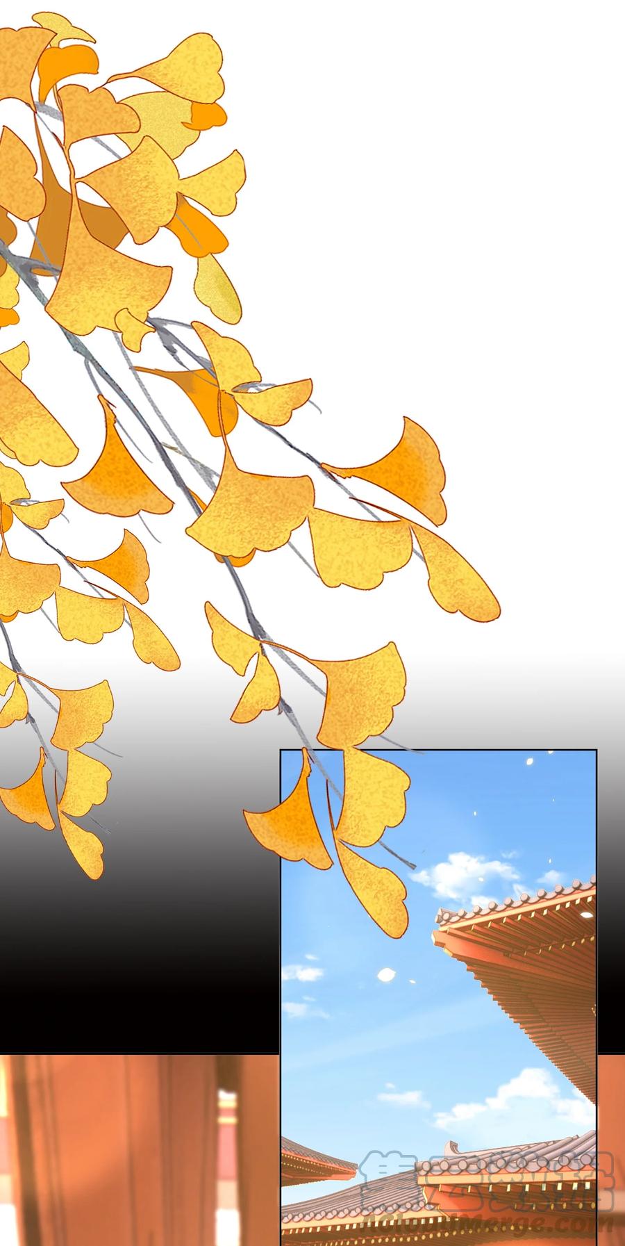 皇上别闹 113 开机 第7页