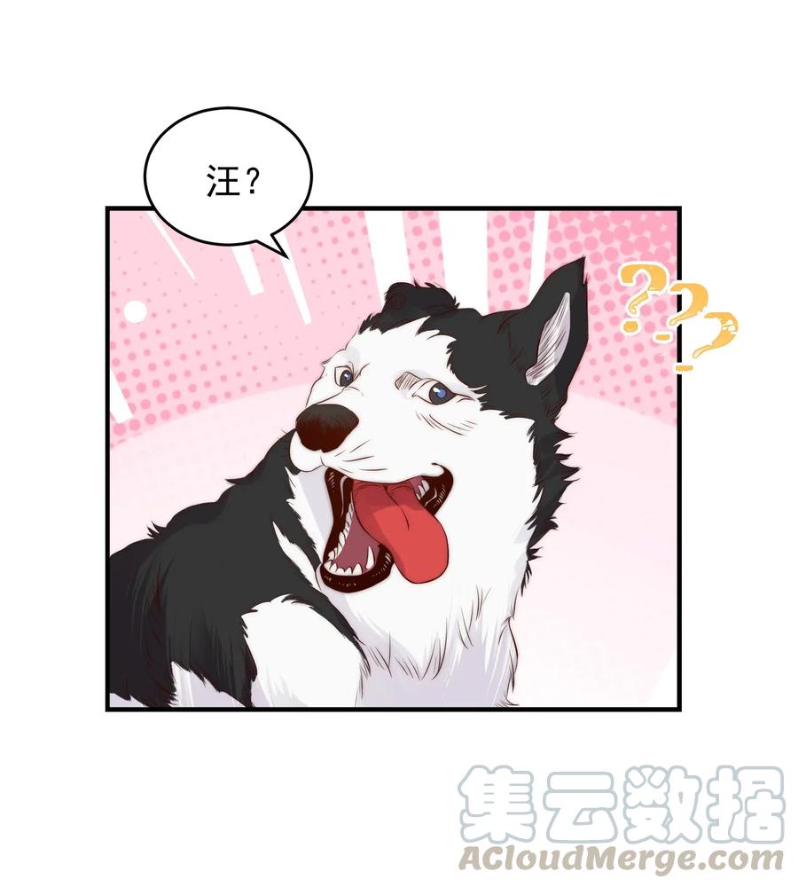 皇上别闹 037 召见 第35页