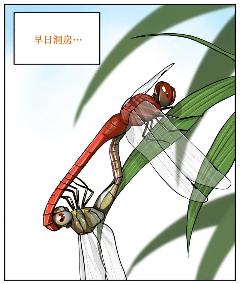 皇上别碰我 - 49 喝茶 - 第8张图