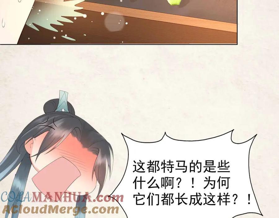 皇上，万万不可！ 序章 穿越成了大奸臣 第13页