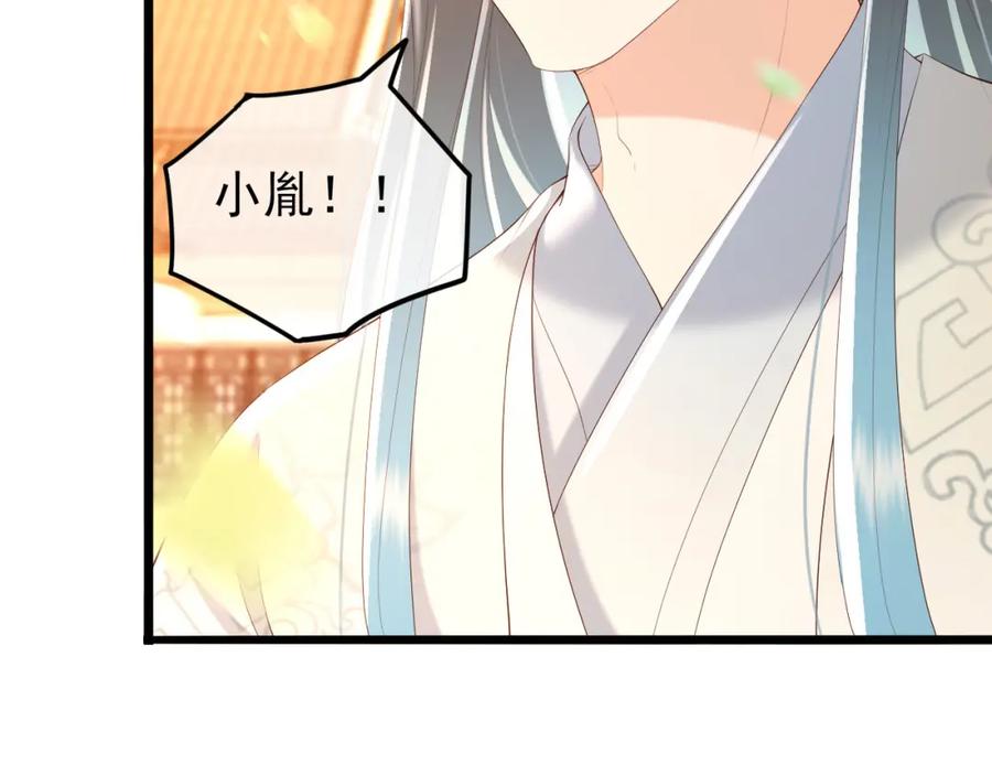 皇上，万万不可！ 第62话 替身？！ 第75页
