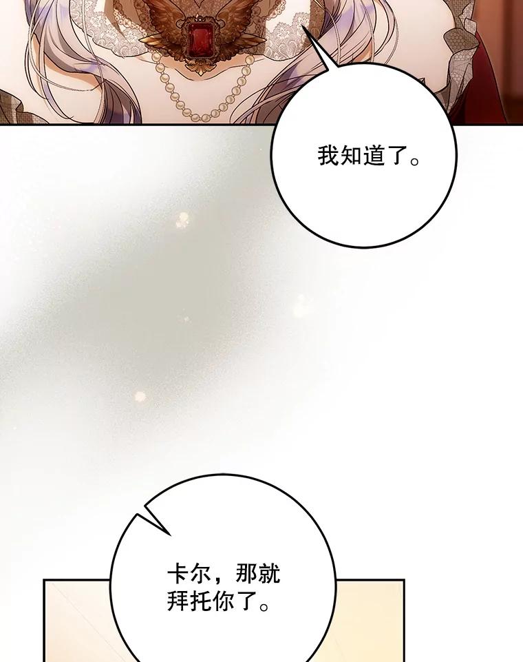 成为我笔下男主之妻 118.贵族聚会 第102页