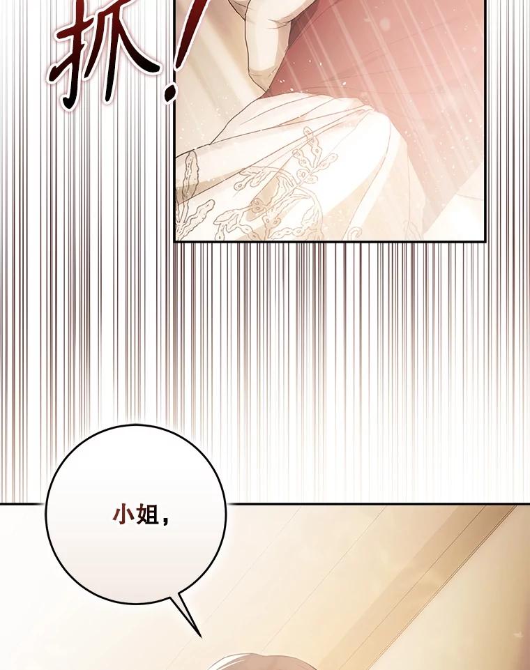 成为我笔下男主之妻 118.贵族聚会 第91页