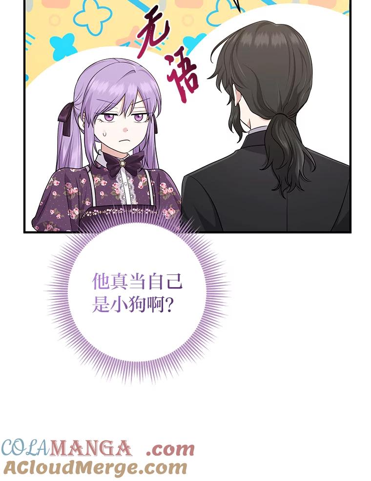《完美演绎养女角色》66.薇欧拉的大型犬 第81页