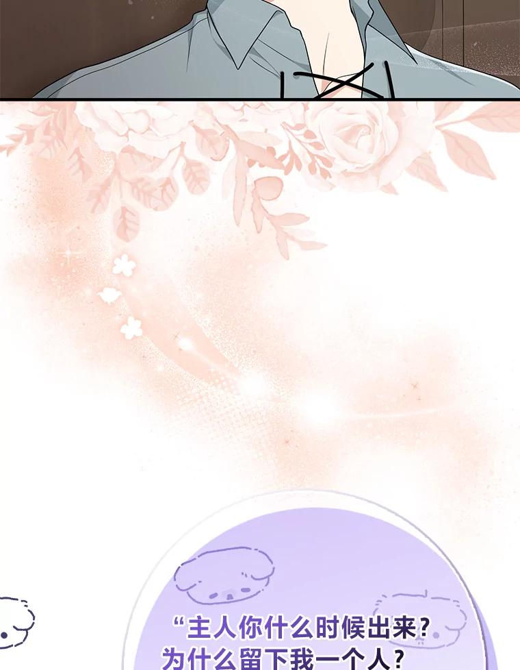 《完美演绎养女角色》66.薇欧拉的大型犬 第78页
