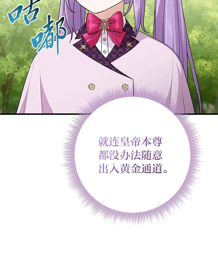 《完美演绎养女角色》68.花花公子谢尔芬 第108页
