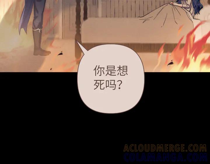 《皇子，为什么对我这么好？》第63话 真正的天空 第29页