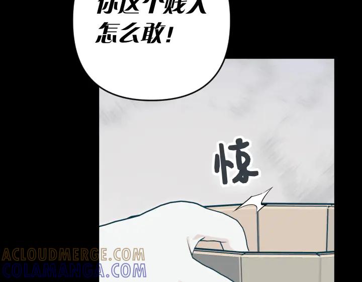 《皇子，为什么对我这么好？》第63话 真正的天空 第137页