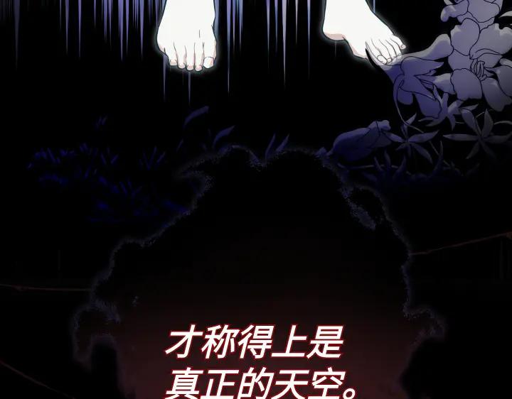 《皇子，为什么对我这么好？》第63话 真正的天空 第199页