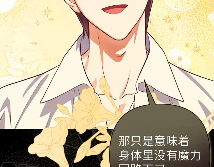 《皇子，为什么对我这么好？》第63话 真正的天空 第178页