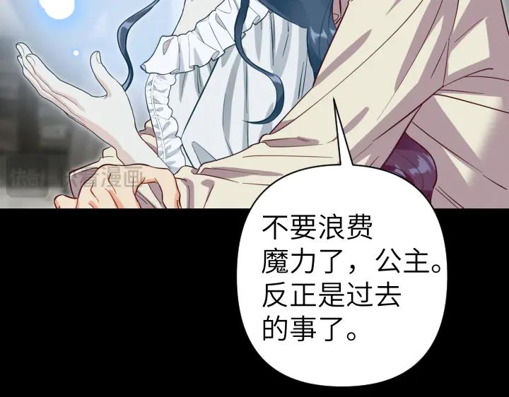 《皇子，为什么对我这么好？》第63话 真正的天空 第160页