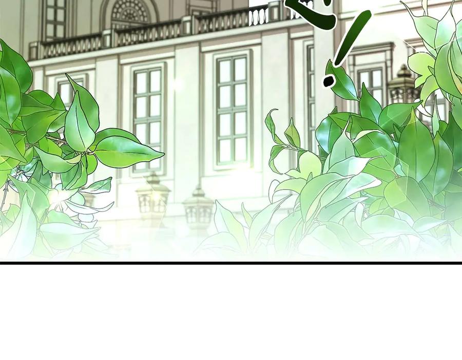 《伯爵大人夜未眠》第48话 伯爵的继承人会是谁？ 第44页