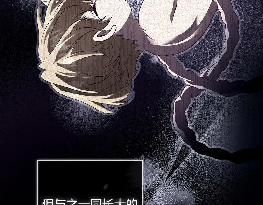 《伯爵大人夜未眠》第51话 从儿时开始的欺骗 第214页