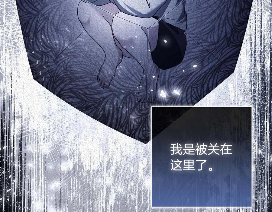 《伯爵大人夜未眠》第51话 从儿时开始的欺骗 第107页