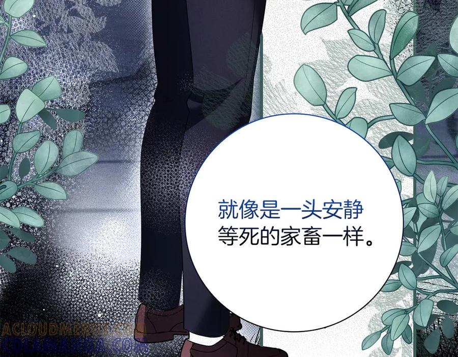 《伯爵大人夜未眠》第52话 继承者 第33页