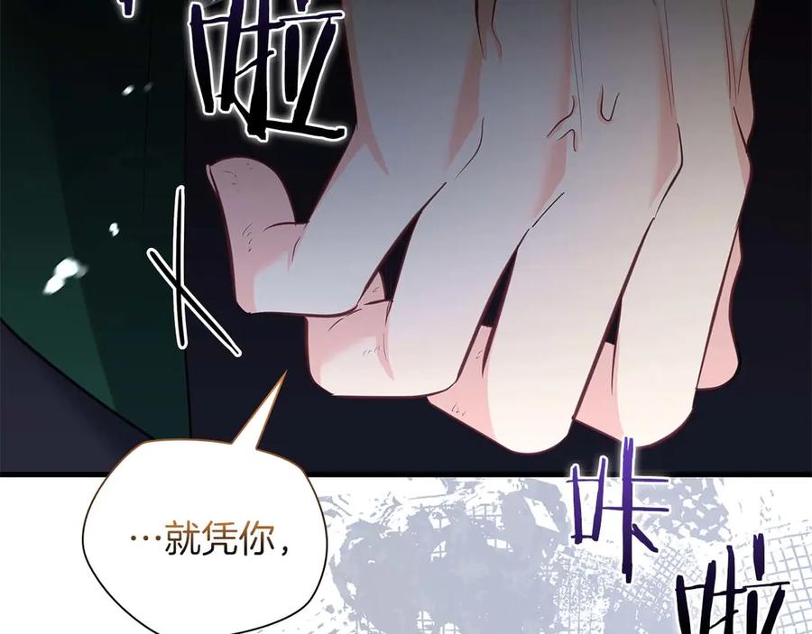 《伯爵大人夜未眠》第52话 继承者 第216页