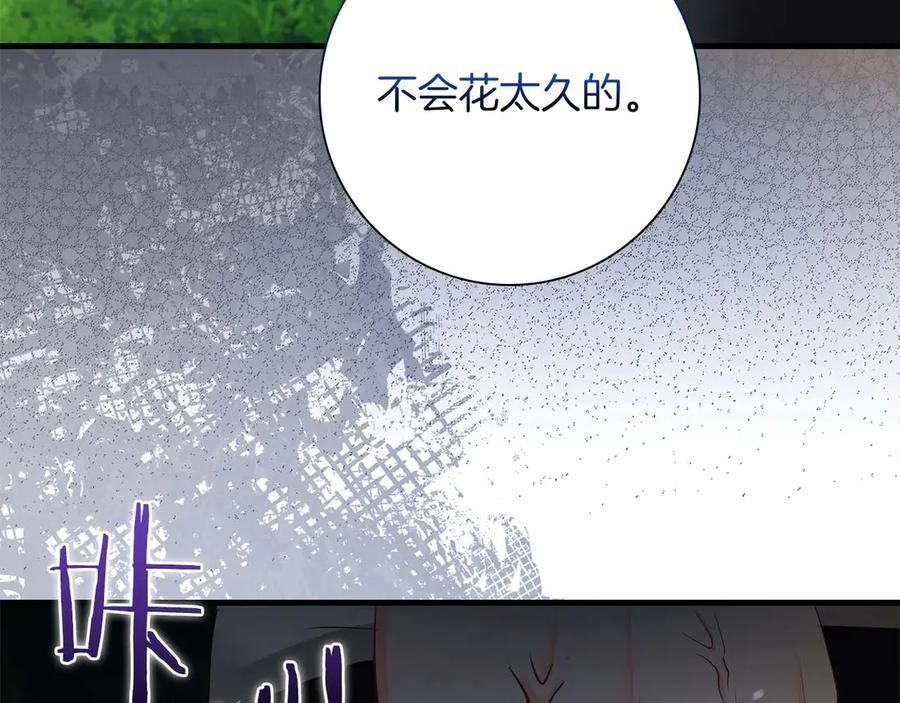 《伯爵大人夜未眠》第52话 继承者 第215页