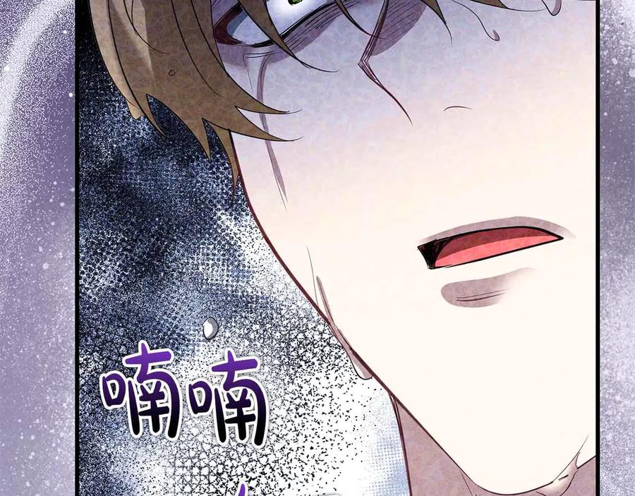 《伯爵大人夜未眠》第54话 各自隐瞒的秘密 第223页