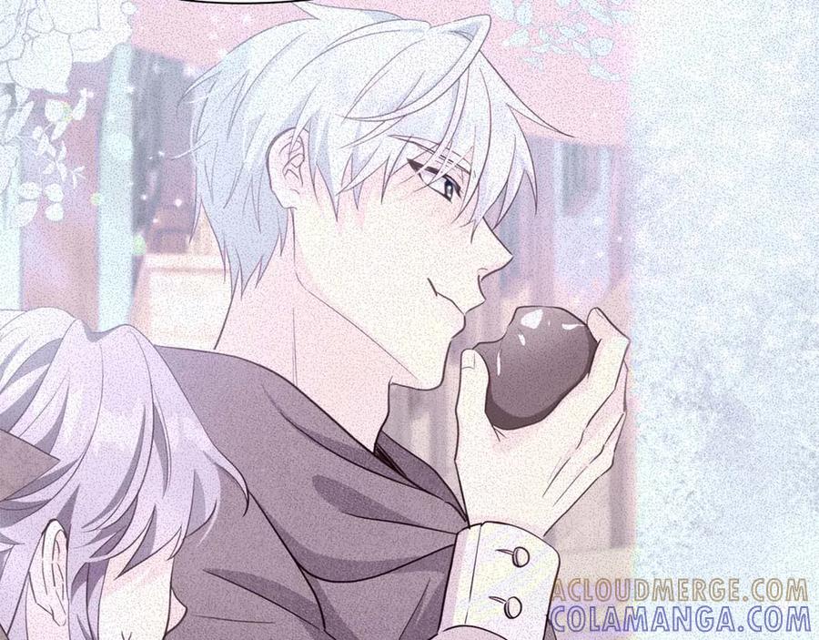 《伯爵大人夜未眠》第56话 与你的相遇从一开始就不是巧合 第213页