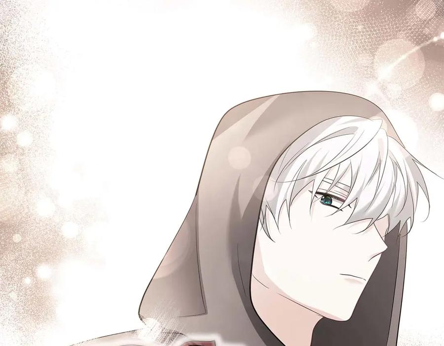 《伯爵大人夜未眠》第56话 与你的相遇从一开始就不是巧合 第226页