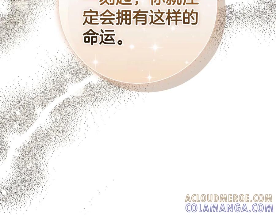《伯爵大人夜未眠》第56话 与你的相遇从一开始就不是巧合 第229页