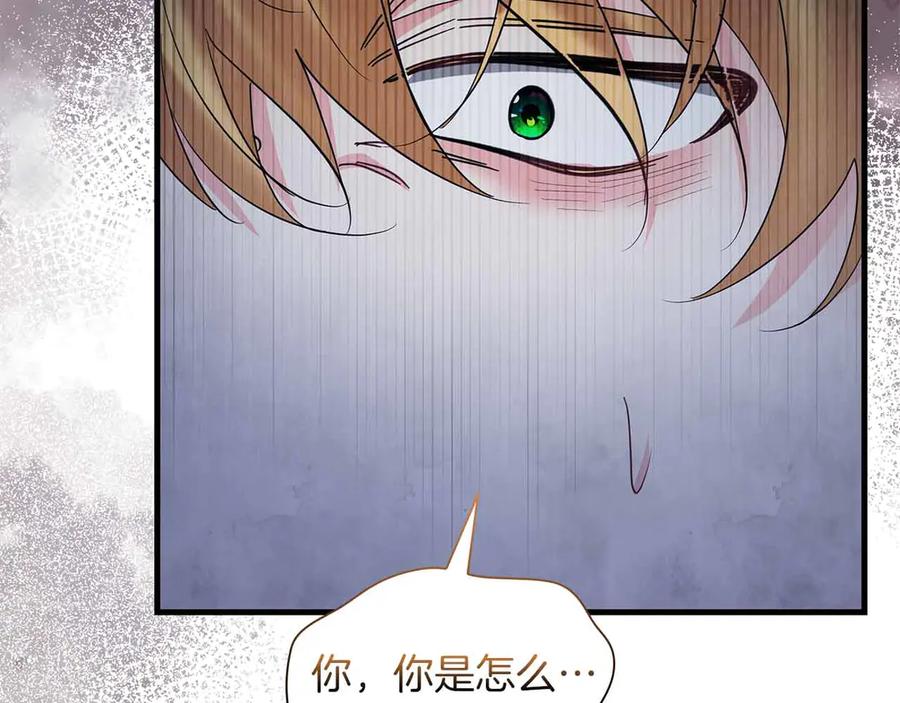 《伯爵大人夜未眠》第57话 虚假的兄弟 第222页