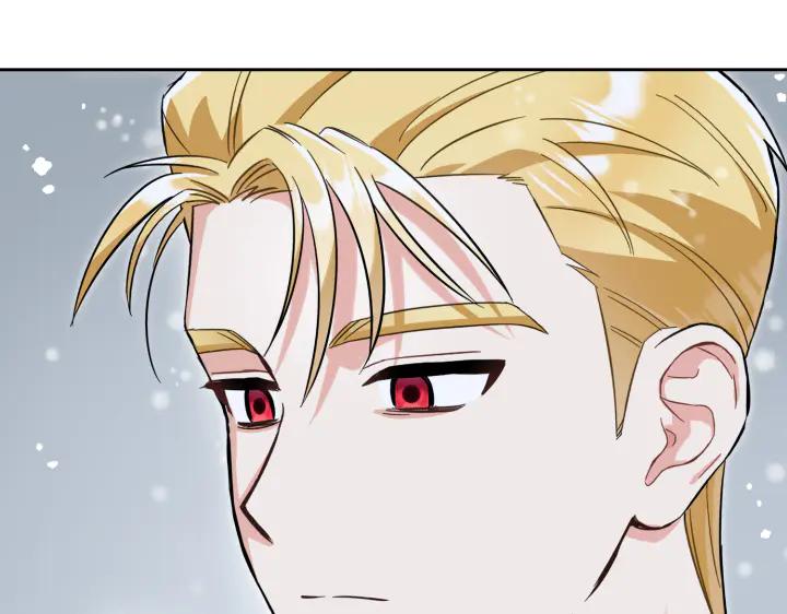 《皇子，为什么对我这么好？》第55话 一个愿望 第106页