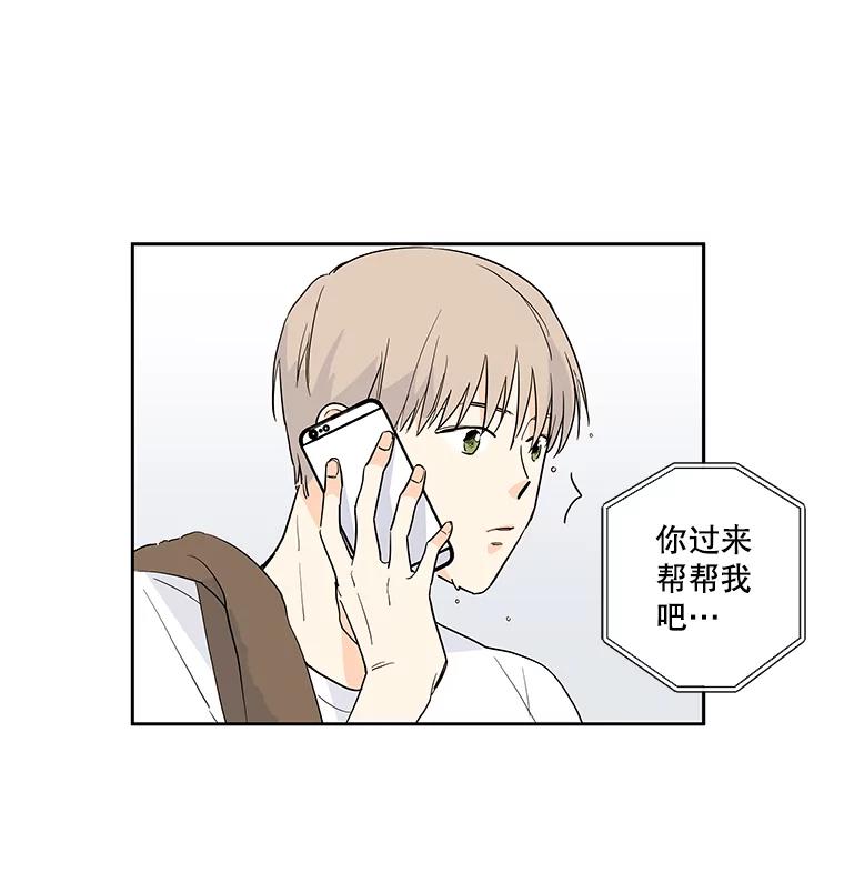 《追逐光的爱恋》13.受伤 第5页