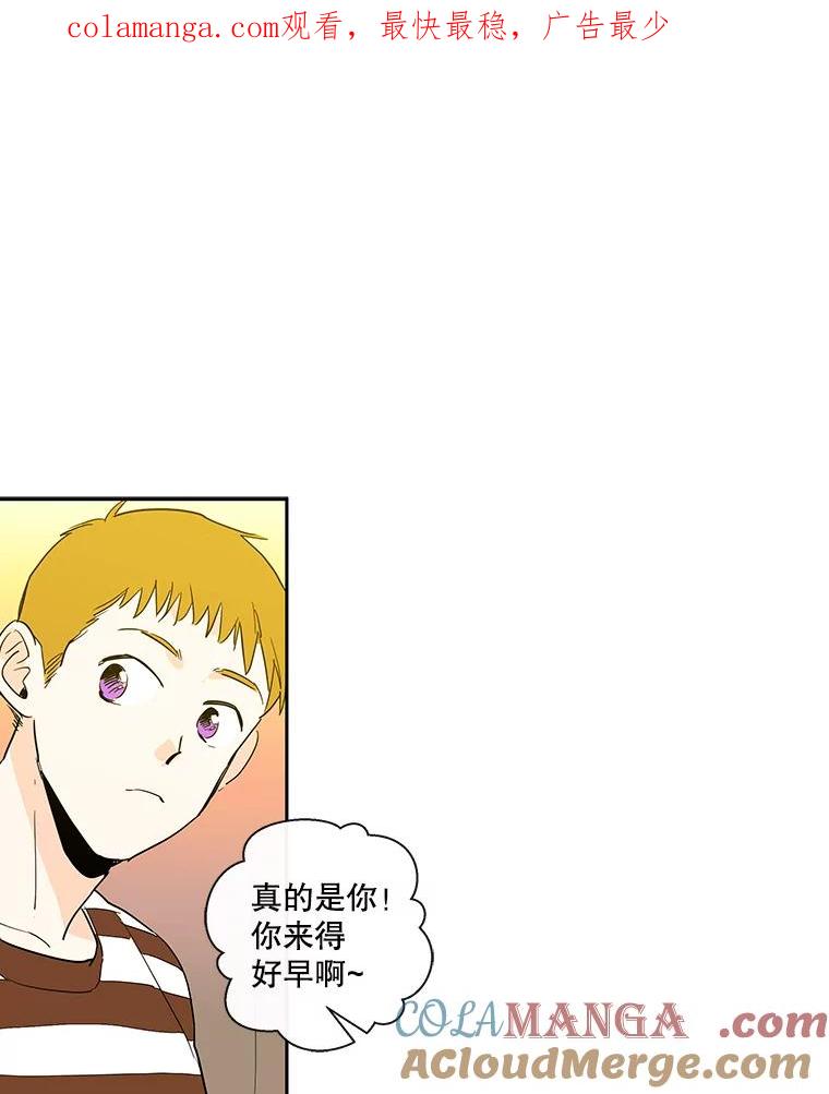 《追逐光的爱恋》14.心中的绿洲 第1页