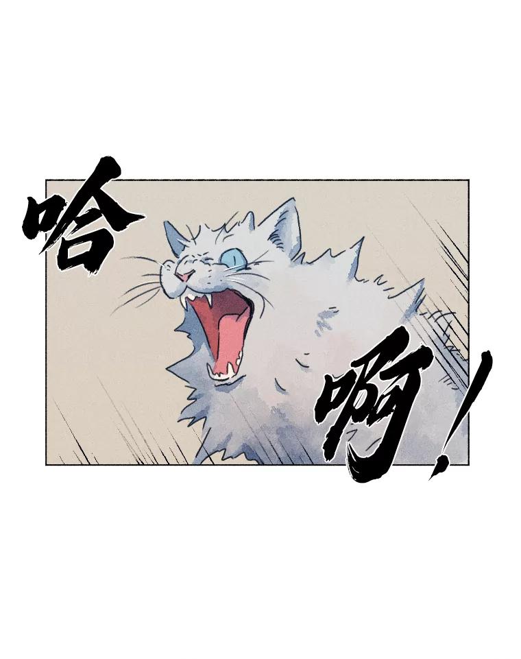 《幻像缉凶》1.话少的朴警官 第80页