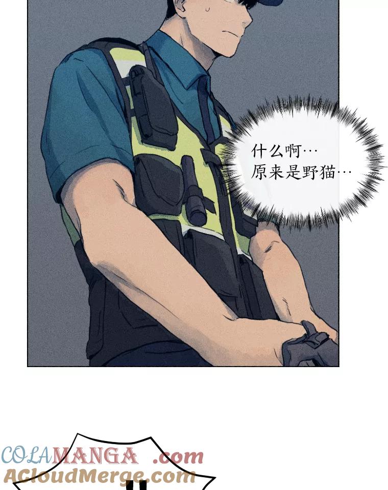 《幻像缉凶》1.话少的朴警官 第82页