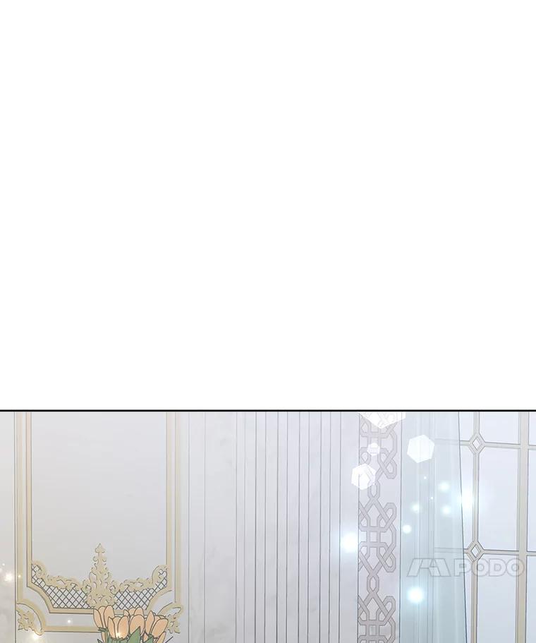 《怕冷的北部大公》49.乔装打扮 第67页