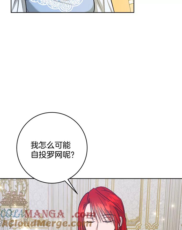 《怕冷的北部大公》49.乔装打扮 第73页
