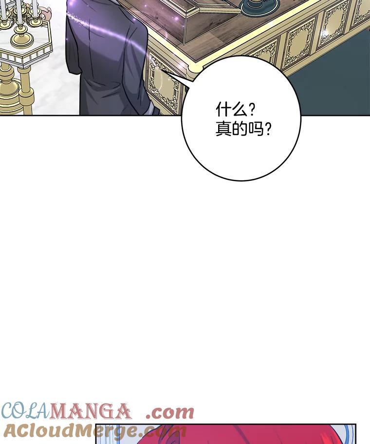 《怕冷的北部大公》49.乔装打扮 第65页