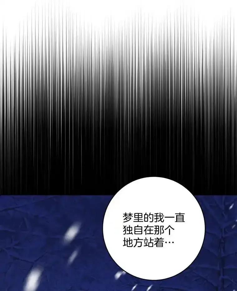 《怕冷的北部大公》51.制定计划 第63页