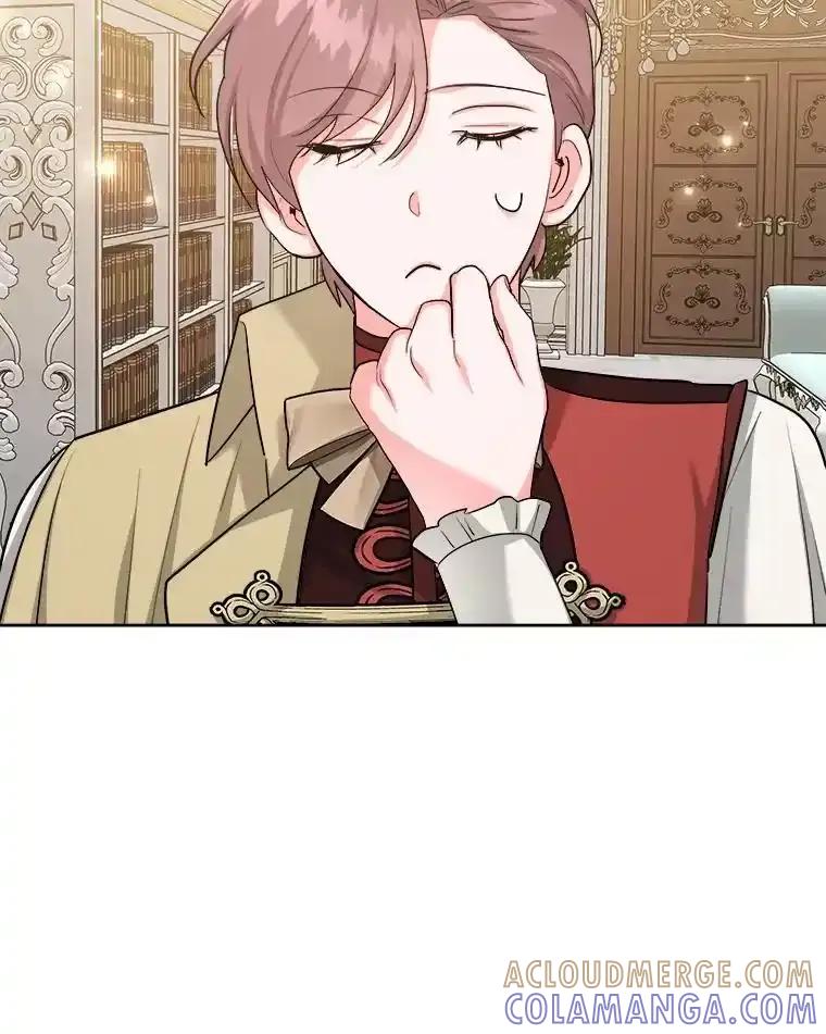 《怕冷的北部大公》51.制定计划 第17页