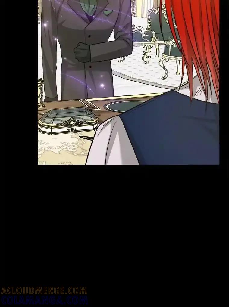 《怕冷的北部大公》53.解救皇后 第13页