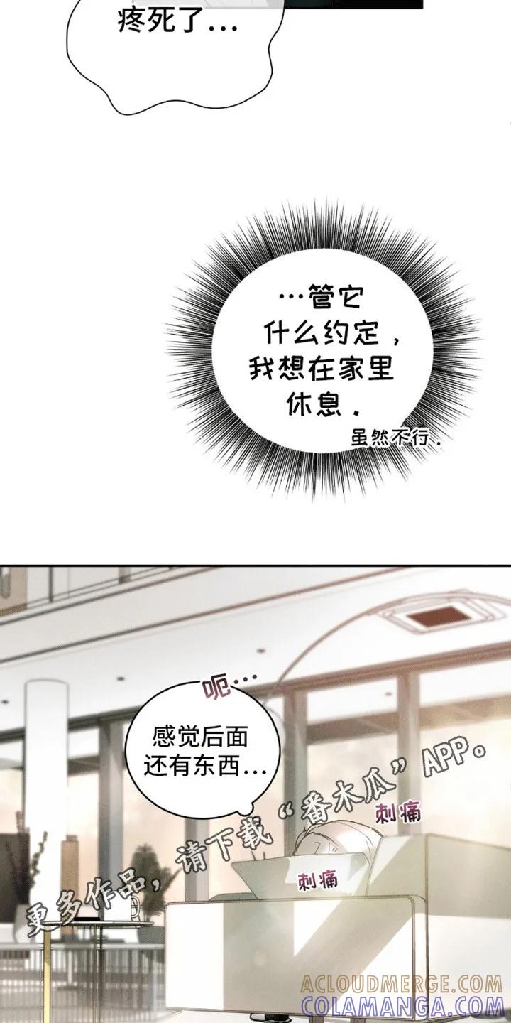 《反向协议》第12章：哥哥来电 第17页