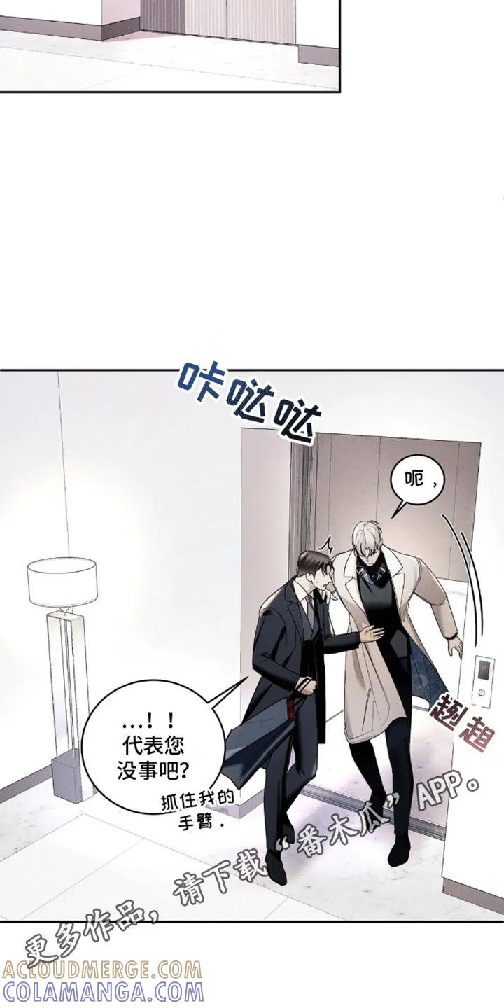 《反向协议》第12章：哥哥来电 第11页
