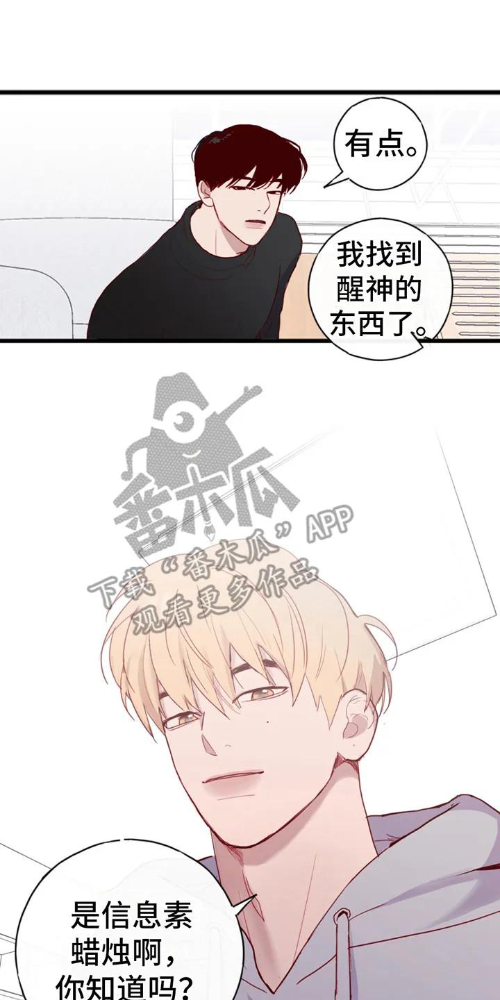 《幻想烛火》第8章：提议 第14页