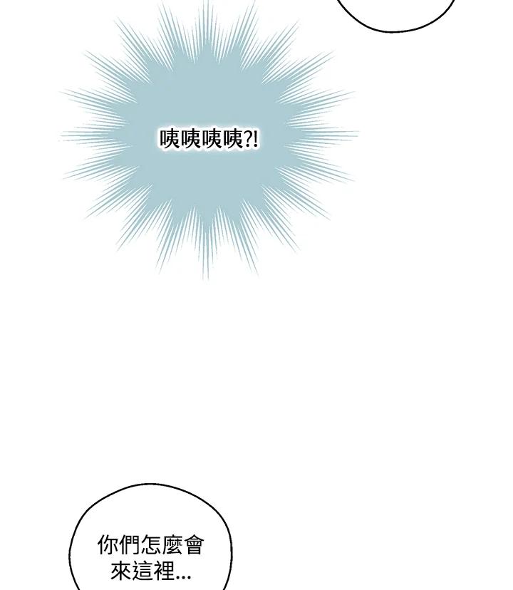 《欢迎来到王之国》第20话 第68页