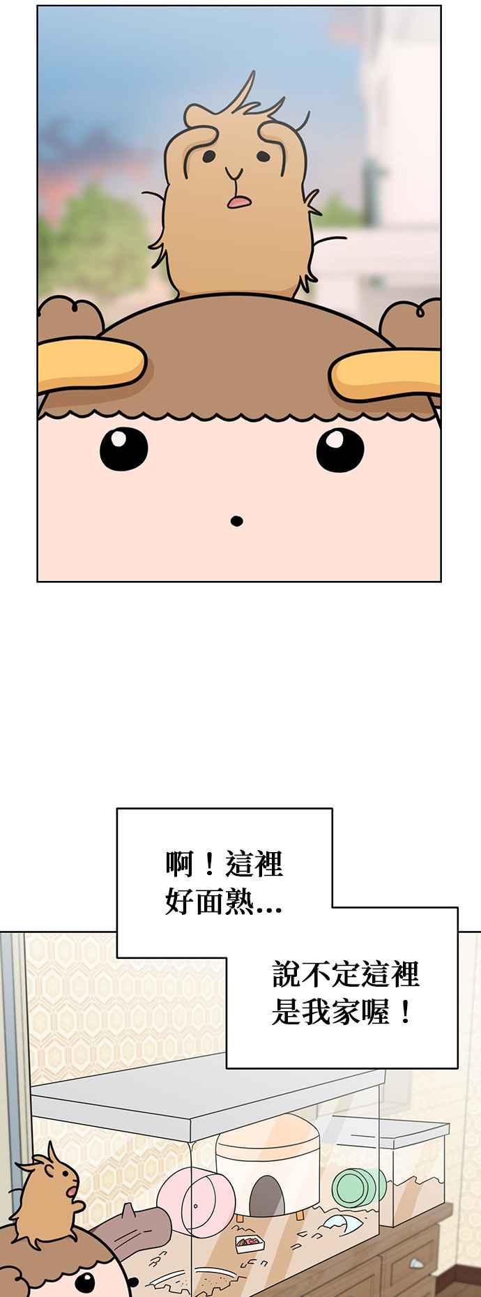 我家妹妹是狗狗 第77话 带我回家 第35页