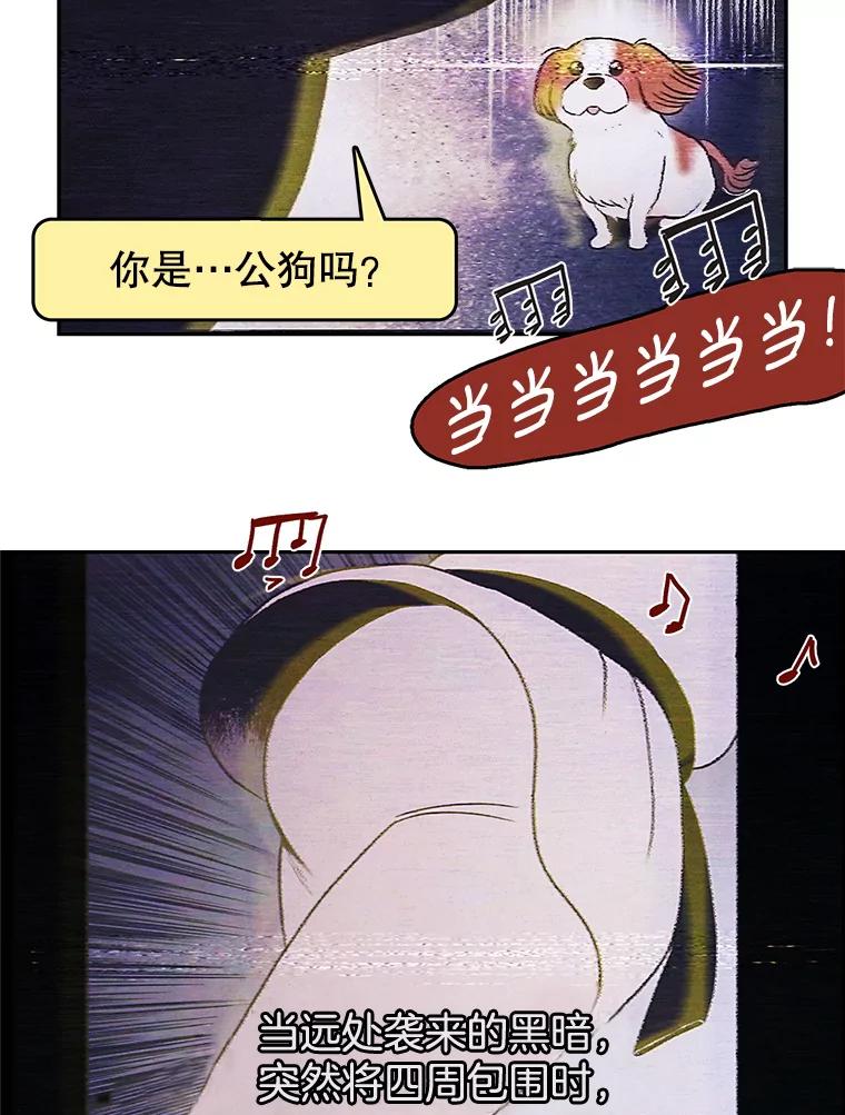 《欢迎收看书生秀》11.被迫爽约 第12页
