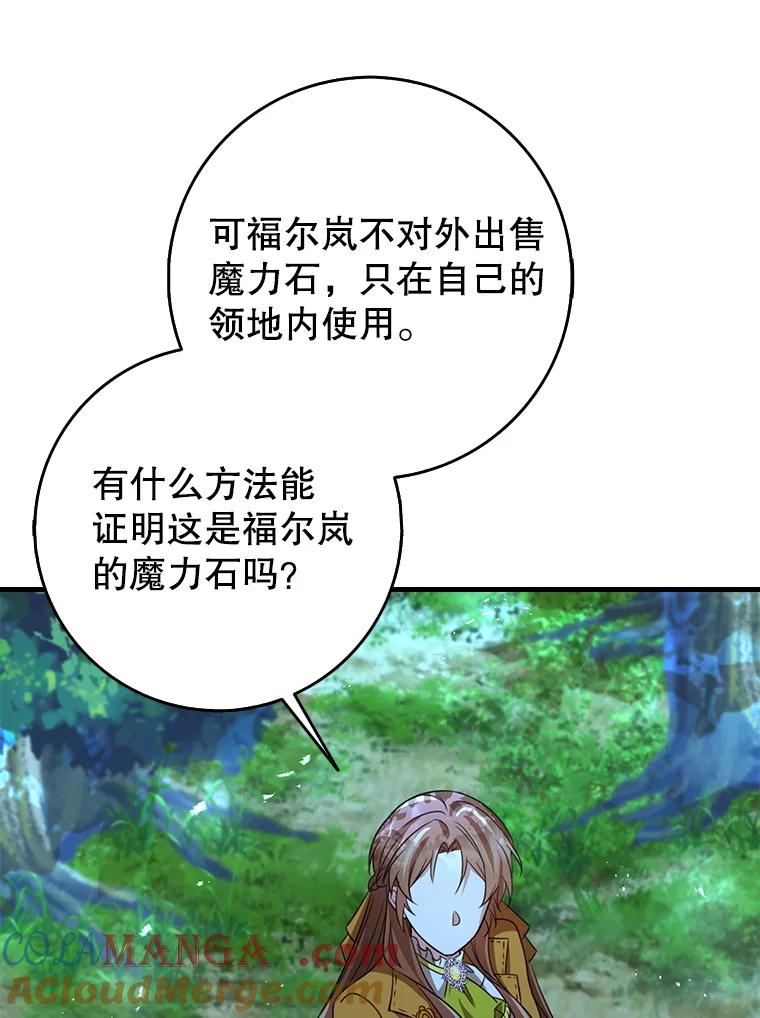 《地下城的S级限时千金》52.可疑的魔力石 第117页