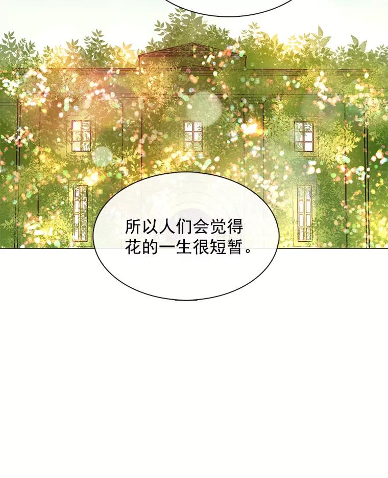 《图书馆需要魔女》85.礼物 第15页