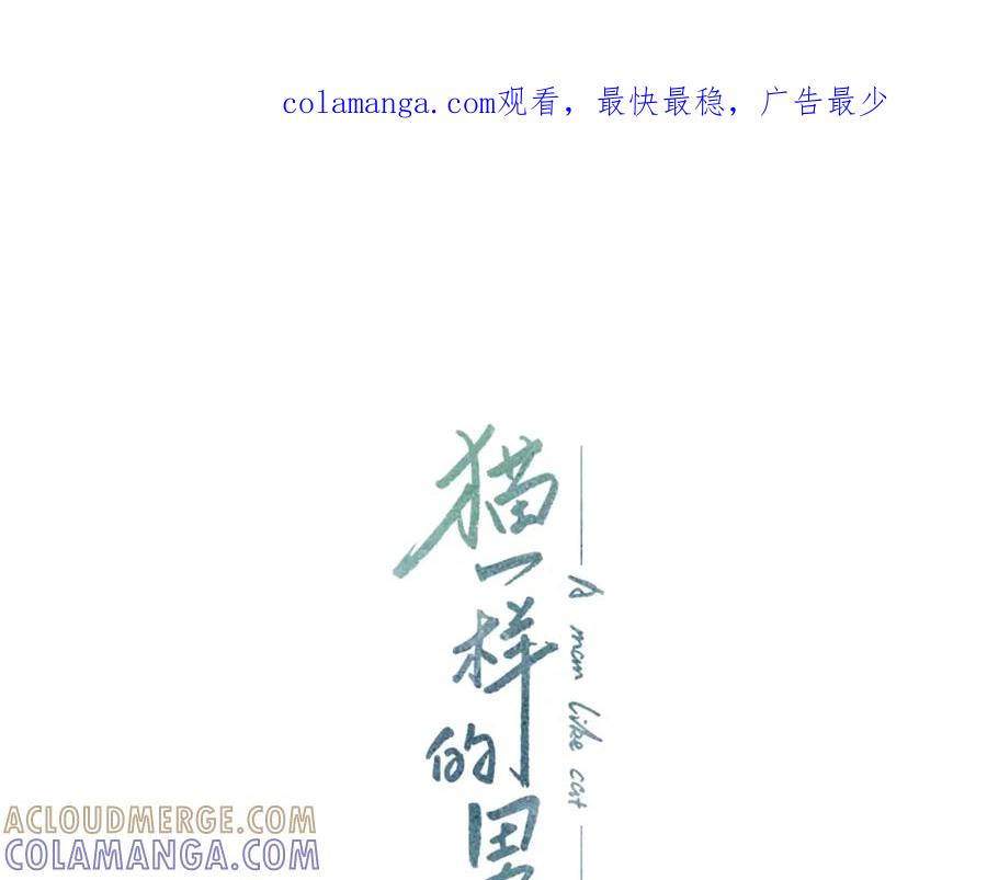 猫一样的男人 第36话 伪装结婚 第1页