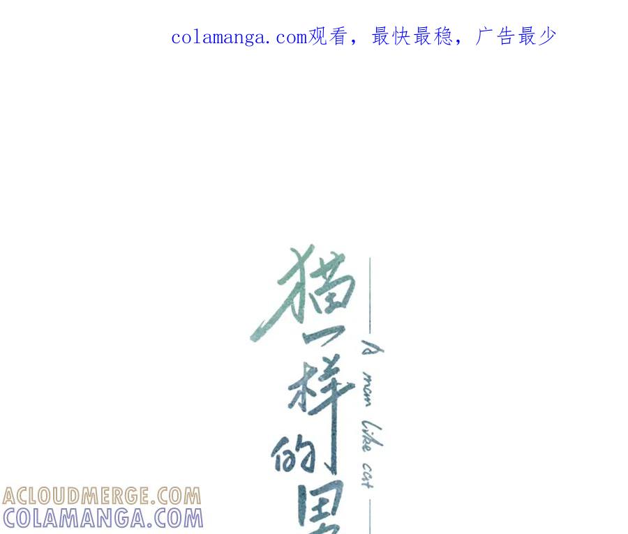 猫一样的男人 第37话 别走了，赵瑛雨 第1页